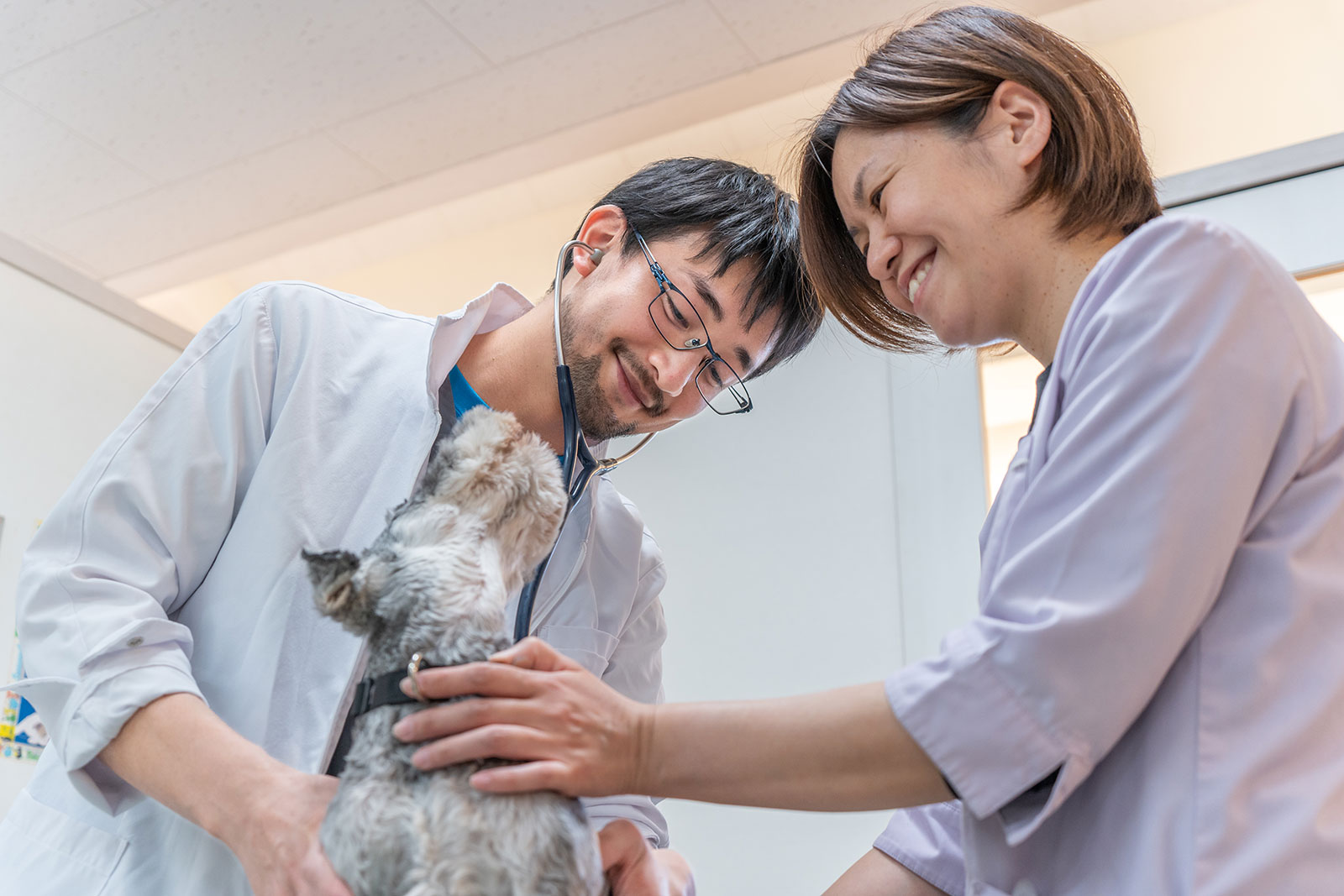 診察の様子