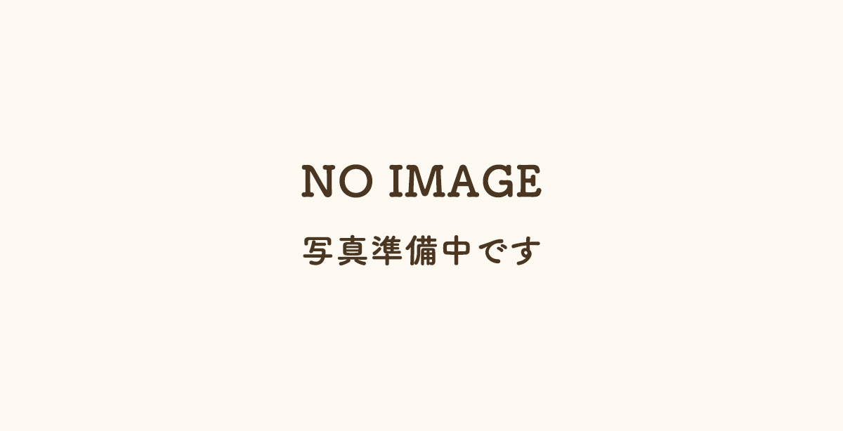 NO IMAGE写真準備中です