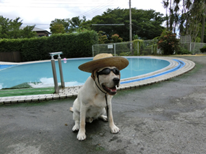 夏だ、プールだ、おいらは泰翔