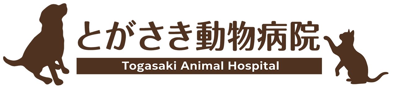 とがさき動物病院